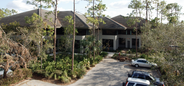Cushman & Wakefield|CPSWFL To Lease Wilson Professional Center