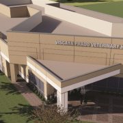 Stevens Construction Begins Viscaya-Prado Veterinary Hospital
