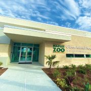 GATES Completes Veterinary Facilities for Animals at Naples Zoo