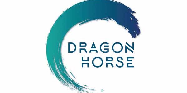 Dragon Horse Agency Wins Award for Video Excellence