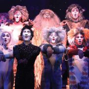 ‘Cats’ Returns to Broadway Palm
