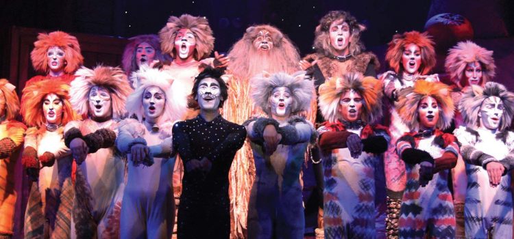 ‘Cats’ Returns to Broadway Palm